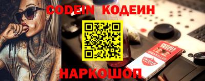 a pvp Камышлов