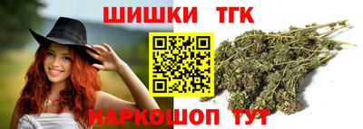 a pvp Камышлов