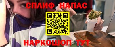 a pvp Камышлов
