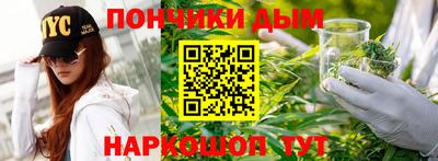 a pvp Камышлов