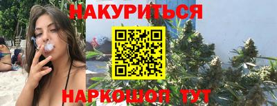 дмт Кингисепп
