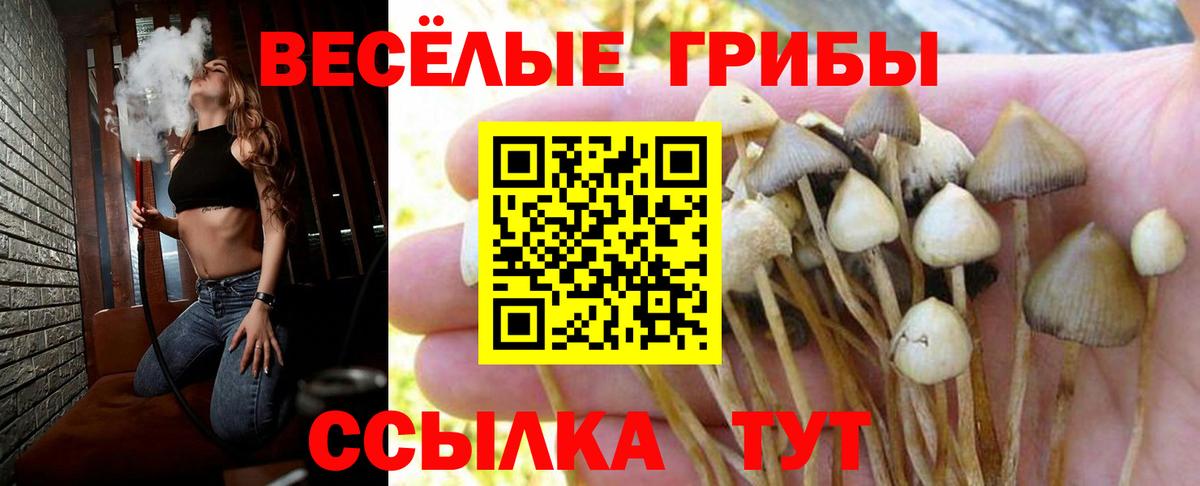 Псилоцибиновые грибы прущие грибы  магазин    Лениногорск  Вход с VPN 