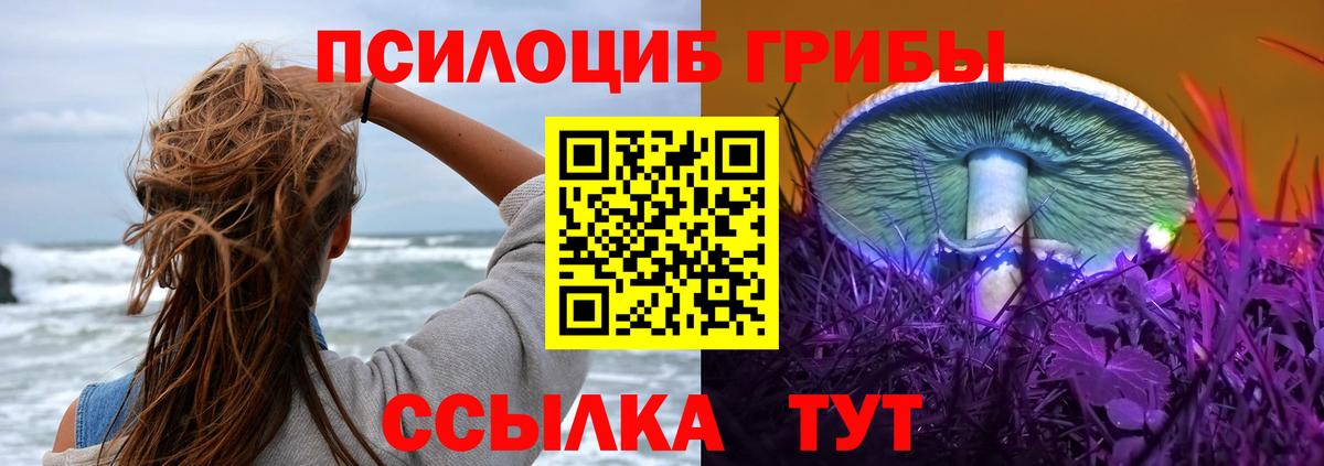 Псилоцибиновые грибы GOLDEN TEACHER Лениногорск